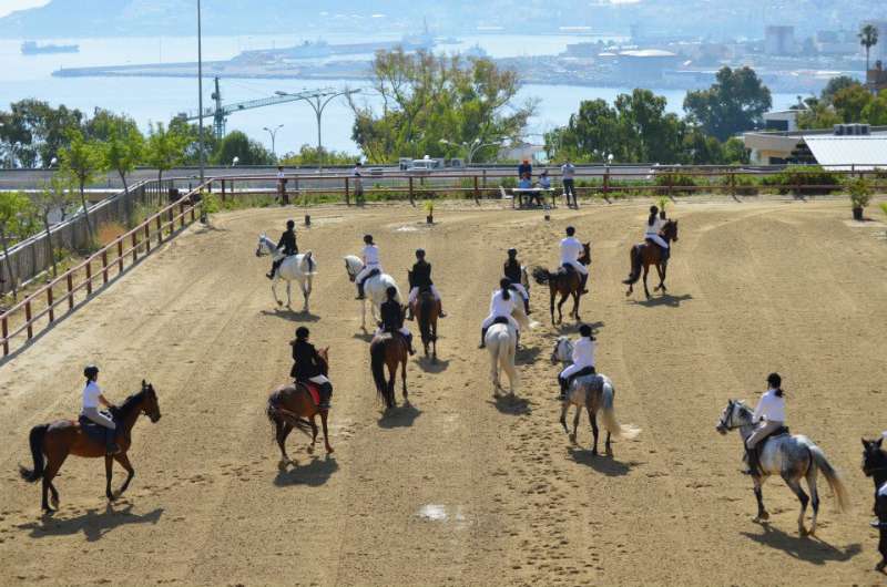 La Ciudad encarga a Tragsatec la gestión del Centro Ecuestre