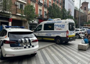 Nuevas dudas sobre el supuesto atropello del director de la Policía Municipal de Madrid: dos testigos niegan que la niña fuera arrollada