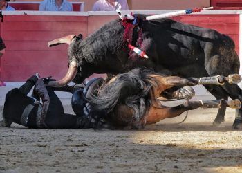 Diego Ventura sufre una grave lesión durante una corrida en Montijo y es trasladado al hospital