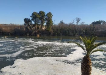 Desconcierto en Madrid: desconocen la contaminación del río Tajo que afecta a Toledo