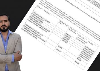 Alvise Pérez declara ingresos de aproximadamente 1,1 millones de euros brutos anuales antes de su entrada en política.