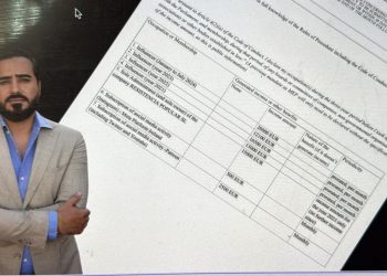 Alvise Pérez declara ingresos de aproximadamente 1,1 millones de euros brutos anuales antes de su entrada en política.