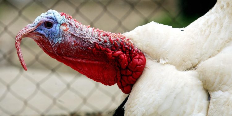 Málaga, 14 de mayo de 2008. Casas diseminadas en Cártama que carecen de aguafoto: Victoriano Moreno