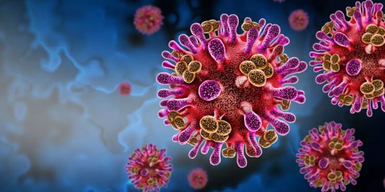 alerta virus nipah india controles sanitarios asia enero 2026