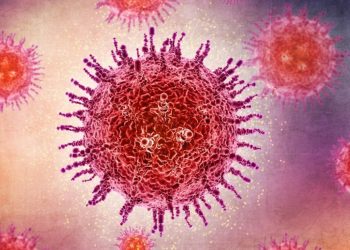 riesgo virus nipah europa brote india febrero 2026