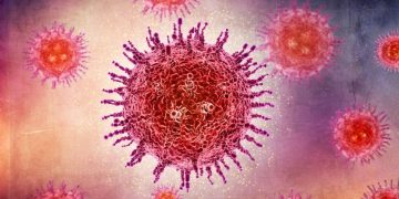 riesgo virus nipah europa brote india febrero 2026