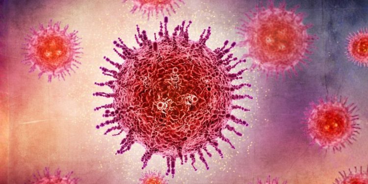 riesgo virus nipah europa brote india febrero 2026