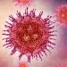 riesgo virus nipah europa brote india febrero 2026