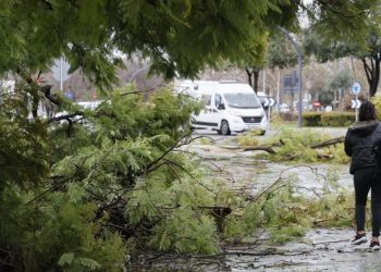 borrasca leonardo inundaciones andalucia alerta roja desalojos 2026
