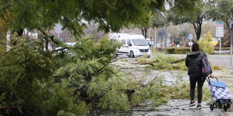 borrasca leonardo inundaciones andalucia alerta roja desalojos 2026