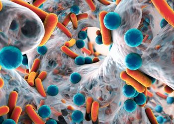 resistencia antibióticos investigacion ciber hoja de ruta 2026