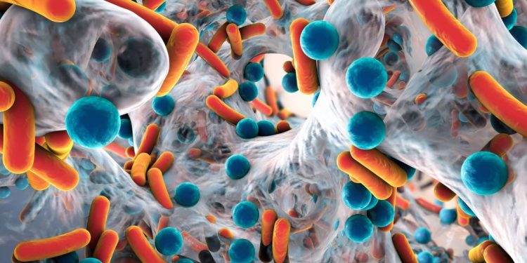 resistencia antibióticos investigacion ciber hoja de ruta 2026