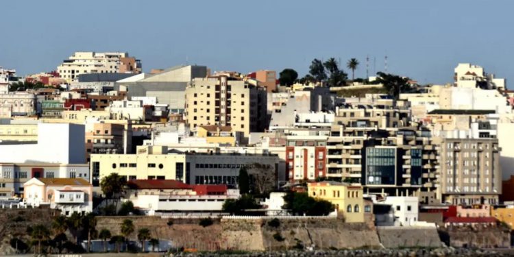 Mi imagen