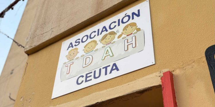 Mi imagen