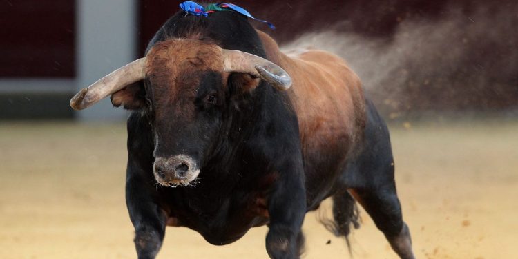 Cartel de la Feria de Hogueras de Alicante 2026: combinaciones, toreros y horarios de los festejos