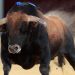 Cartel de la Feria de Hogueras de Alicante 2026: combinaciones, toreros y horarios de los festejos