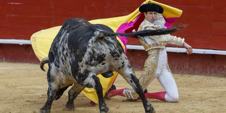 Dónde ver hoy, martes 23 de junio, la Feria de Hogueras de Alicante 2026: cartel y retransmisión
