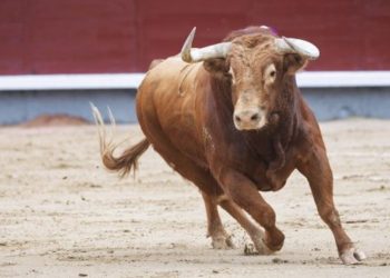 Dónde ver la Feria de Hogueras de Alicante 2026 en directo: cartel de hoy, miércoles 24 de junio