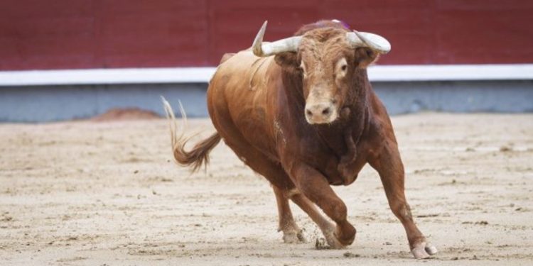 Dónde ver la Feria de Hogueras de Alicante 2026 en directo: cartel de hoy, miércoles 24 de junio