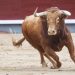 Dónde ver la Feria de Hogueras de Alicante 2026 en directo: cartel de hoy, miércoles 24 de junio