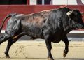 Dónde ver la Feria de Hogueras de Alicante 2026 hoy 25 de junio, cartel y retransmisión televisiva en directo