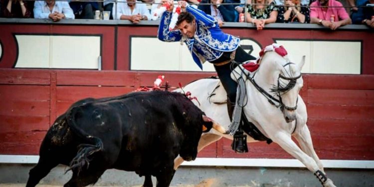 Dónde ver la Feria de Hogueras de Alicante 2026 hoy por televisión: cartel y retransmisión del sábado 27 de junio