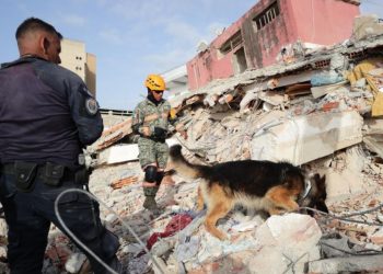 Terremoto en Venezuela: El Gobierno eleva a 17 los españoles muertos y busca a 150 desaparecidos