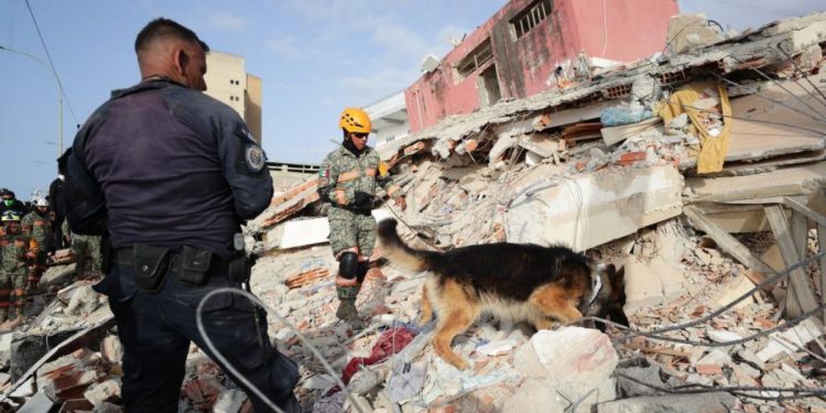 Terremoto en Venezuela: El Gobierno eleva a 17 los españoles muertos y busca a 150 desaparecidos