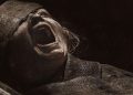 La momia de Lee Cronin llega a HBO Max: la película de terror de 2026 que promete dejarte sin dormir