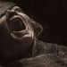 La momia de Lee Cronin llega a HBO Max: la película de terror de 2026 que promete dejarte sin dormir