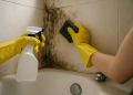 Cómo eliminar la humedad y el moho del baño (y evitar que vuelvan)