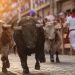 El origen de los Sanfermines: la evolución histórica de las fiestas de Pamplona desde el siglo XII hasta la novela de Hemingway