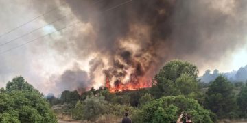 Alerta medioambiental: La superficie forestal quemada se dispara un 36% en España en solo dos semanas
