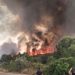 Alerta medioambiental: La superficie forestal quemada se dispara un 36% en España en solo dos semanas