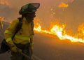Tragedia en Almería: al menos once muertos y más de 1.000 evacuados en un devastador incendio forestal en Los Gallardos