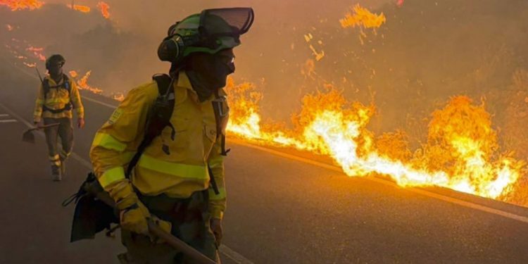 Tragedia en Almería: al menos once muertos y más de 1.000 evacuados en un devastador incendio forestal en Los Gallardos