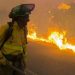 Tragedia en Almería: al menos once muertos y más de 1.000 evacuados en un devastador incendio forestal en Los Gallardos