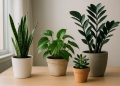 Plantas de interior fáciles de cuidar: guía práctica para un hogar con vida