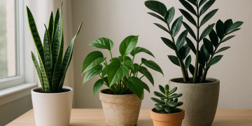 Plantas de interior fáciles de cuidar: guía práctica para un hogar con vida