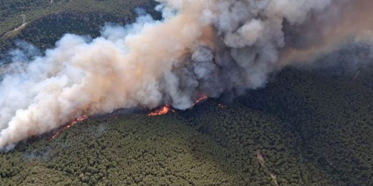 Protección Civil ordena evacuar de forma preventiva a unos 400 vecinos de Querol por el incendio de Aiguamúrcia