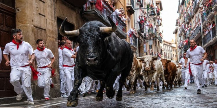 El último encierro de San Fermín 2026 con los toros de Jandilla deja 9 heridos, 2 de ellos por asta