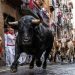 El último encierro de San Fermín 2026 con los toros de Jandilla deja 9 heridos, 2 de ellos por asta
