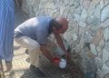 La plaga de gusanos se extiende por Asturias y alcanza las instalaciones ganaderas de Valdés