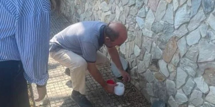La plaga de gusanos se extiende por Asturias y alcanza las instalaciones ganaderas de Valdés