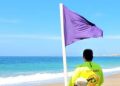Las playas que más veces colgarán la bandera morada este verano por la presencia de medusas y fauna peligrosa
