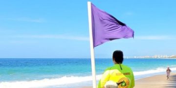 Las playas que más veces colgarán la bandera morada este verano por la presencia de medusas y fauna peligrosa