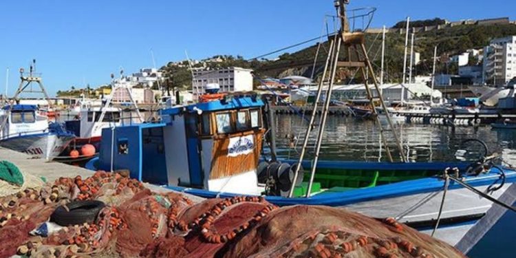 El sector pesquero de Ceuta, en jaque: entre una aduana comercial fantasma y una almadraba a pérdidas