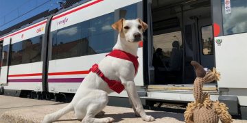Renfe permitirá viajar con perros de hasta 40 kilos en todos sus trenes a partir del próximo martes