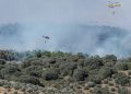 Emergencia por incendios en España: el fuego de Orés devora más de 15.000 hectáreas mientras el de Guadalajara sigue sin control