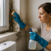 Cómo eliminar la humedad y el moho del baño: guía práctica y segura